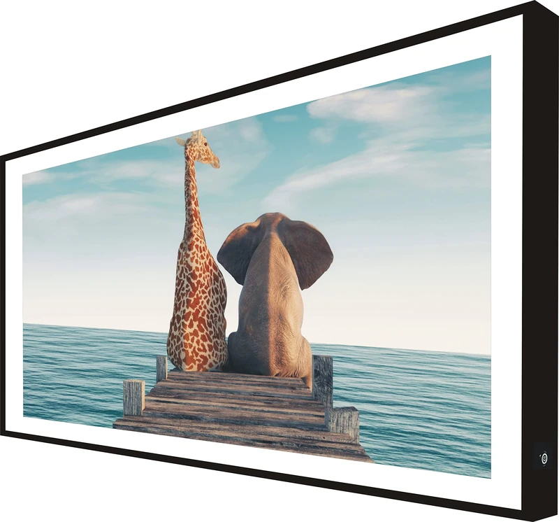 CCRETROILUMINADOS Picture with Black Lacquered Wood Frame Illuminated with Giraffe Leds Next to Elephant