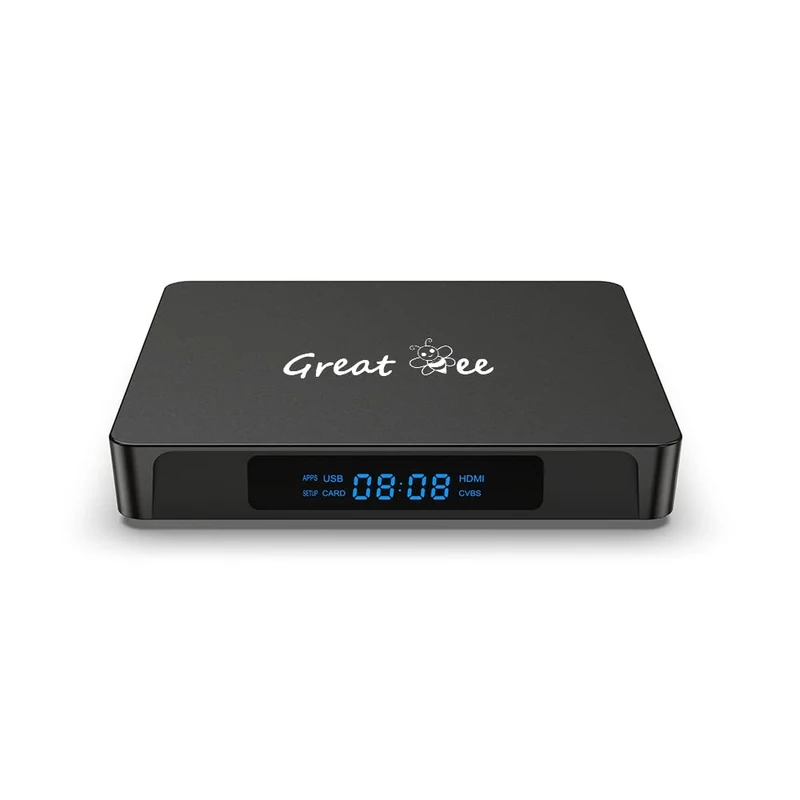Great Bee One Year Android 10 Arabic 4K TV Box for IPTV with Google YouTube and Chromecast