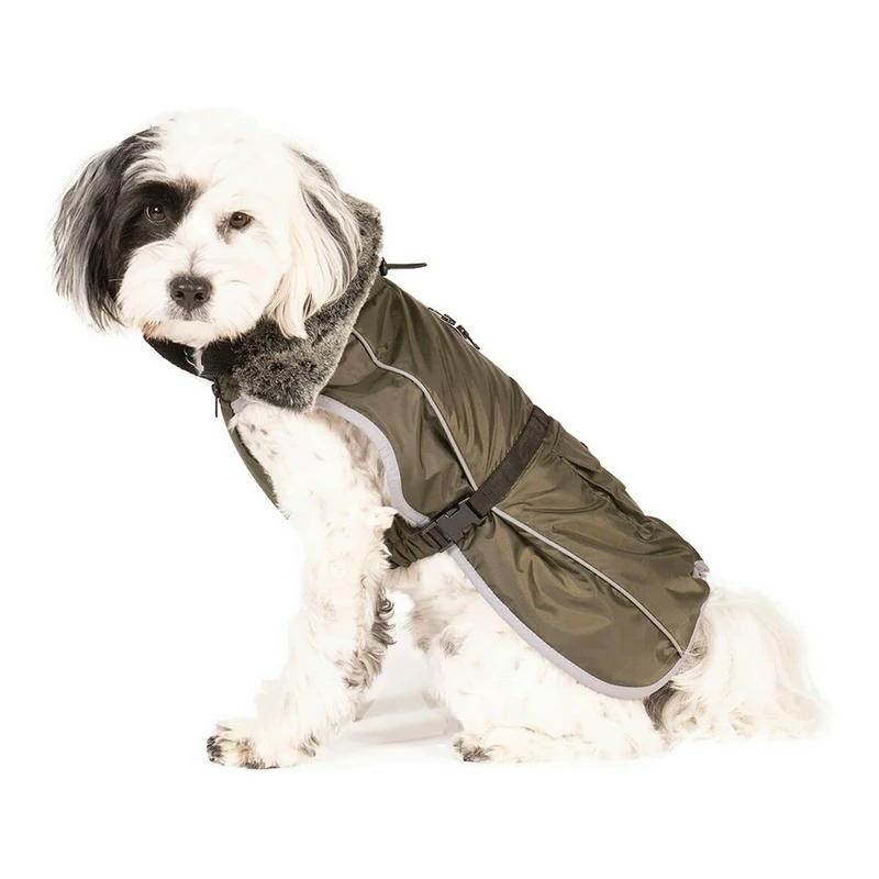 DGS Dog Coats & Jackets Coat Aspen