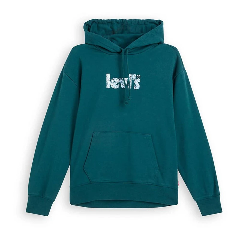 Levi's Women's Plus Size Graphic STNDRD Hoodie, Greens, 3 X, Greens, 3XL