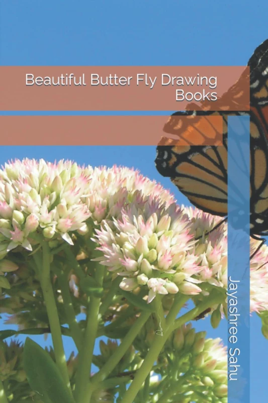 Beautiful Butter Fly Drawing Books