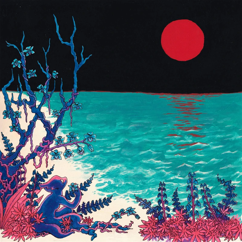 the first glass beach album [VINYL]