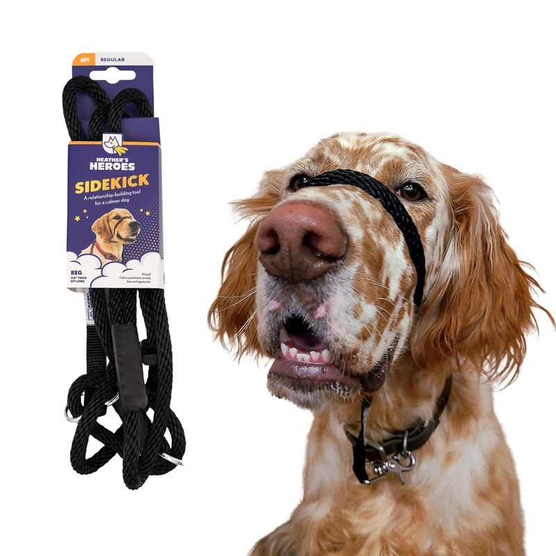 Heather's Heroes no pull training leash - Image 1