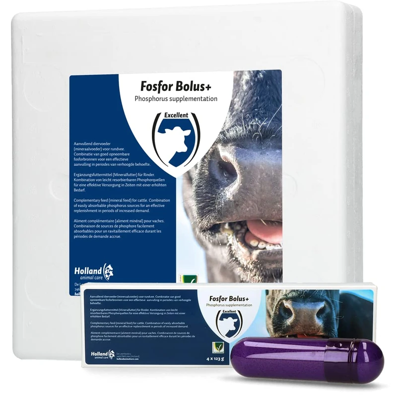 Excellent Health Care Supplies Phosphorus Bolus + - Image 1