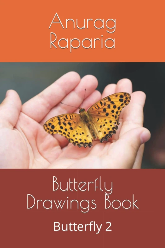 Butterfly Drawings Book: Butterfly 2