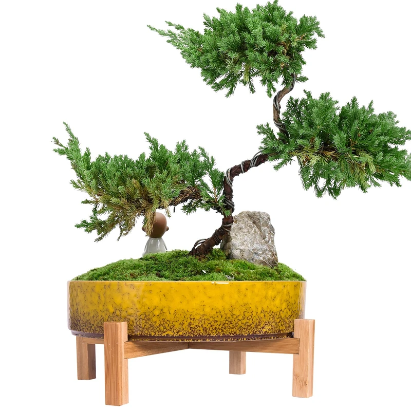 Plant Pots - 29 CM Ceramic Bonsai Pot with Drainage, Large Succulent Plant Pot for Indoor Cactus Plant Garden Decorative Flower Pot with Stand