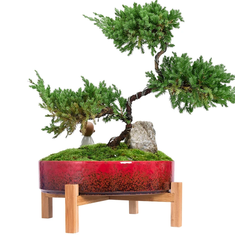 ARTKETTY 29 CM Ceramic Plant Pot with Stand and Drainage