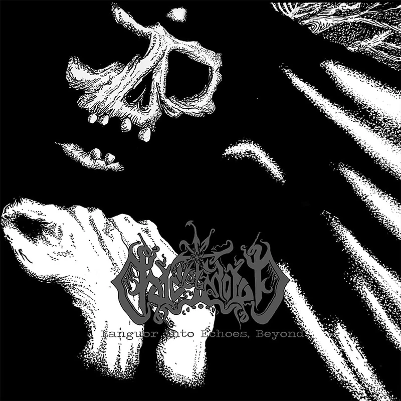 Echoes, Beyond [VINYL]