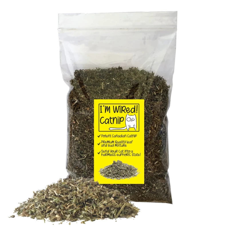 Real Pet Store I'M WIRED Strong Canadian Catnip Buds - 14g