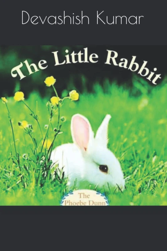 Rabbit drawing book