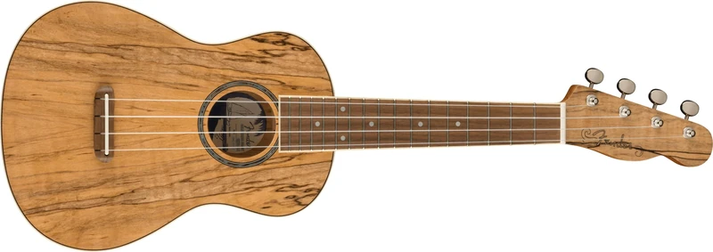 Fender Zuma Exotic Concert Ukulele, Walnut Fingerboard in Spalted Maple