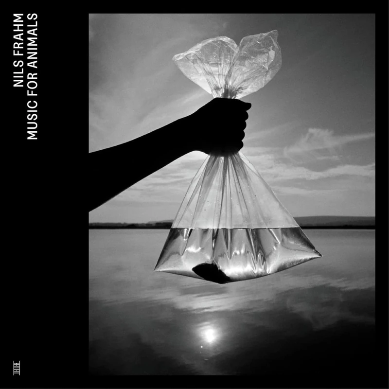 Music for Animals [VINYL] - Image 1