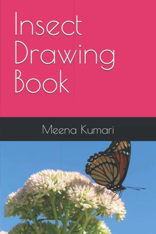 Insect Drawing Book