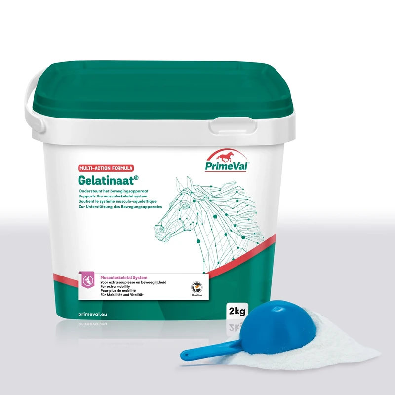 PrimeVal – Gelatinaat® Powder – For Horses & Ponies – High Strength Daily Multi-Action Supplement to Support Muscles, Strong Bones & Joints – Contains Collagen Type I & II – 2kg Tub