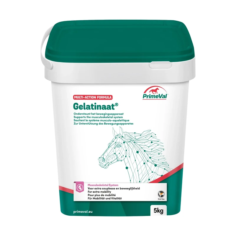 PrimeVal – Gelatinaat® Powder – For Horses & Ponies – High Strength Daily Multi-Action Supplement to Support Muscles, Strong Bones & Joints – Contains Collagen Type I & II – 5kg Tub