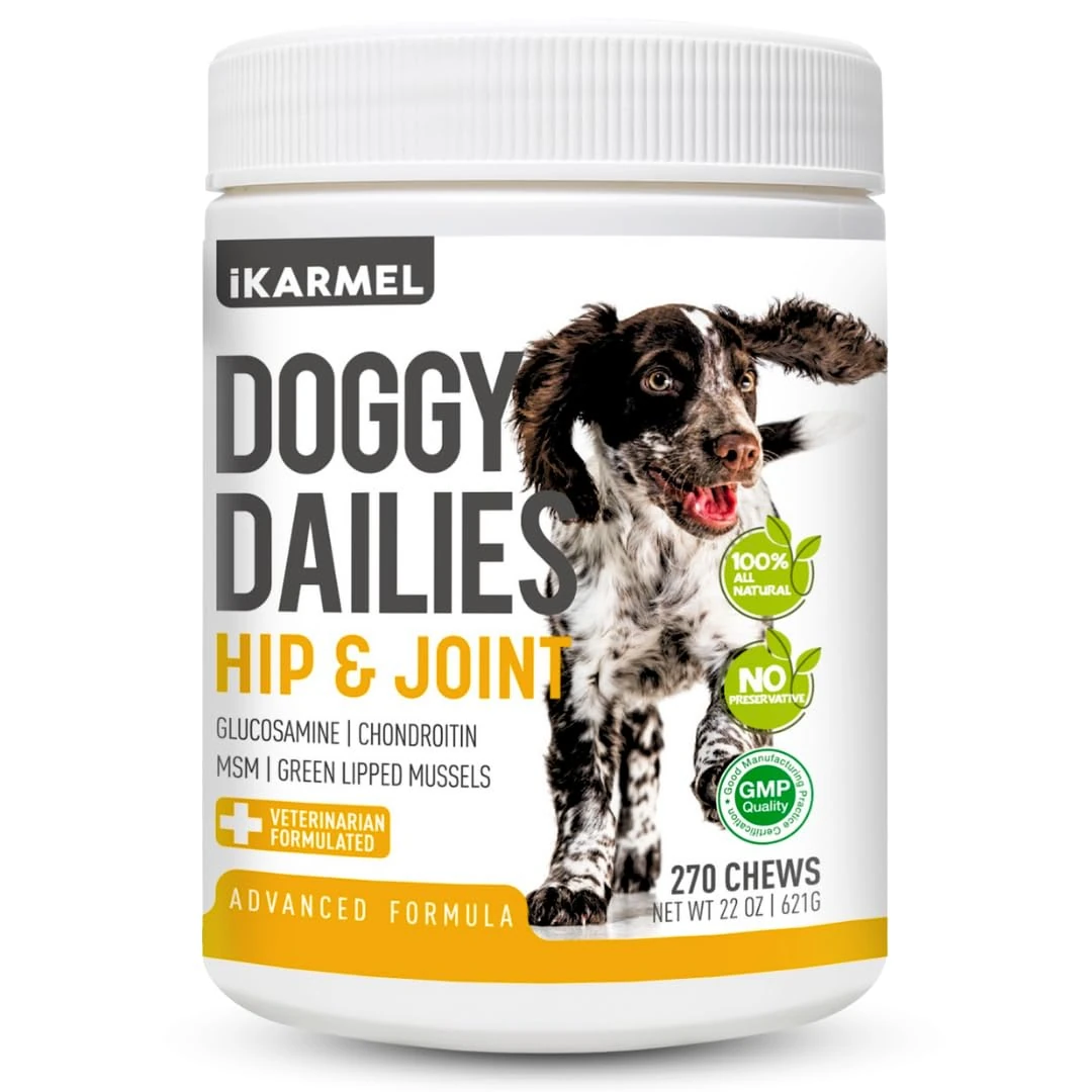 iKarmel Joint Supplements for Dogs | Hip and Joint Care | with Glucosamine, Chondroitin, and Green-Lipped Mussels | Puppy to Senior Dog Treats for Stiff Joints (270 Chews)