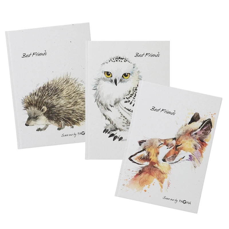 Pagna 20370-25 Set of 3 Friendship Book Save Me No. 2 60S - Image 1