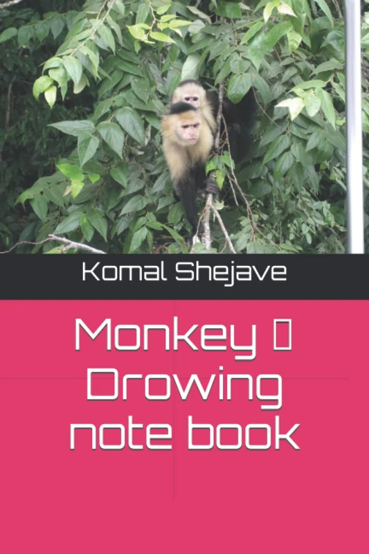 Monkey Drowing note book