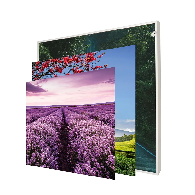 INFORMA LED Picture Frame in Matte White, 3 Interchangeable Picture Frame Covers, Nature Theme, Frameless, 50 x 50 cm, 27 LEDs, Interchangeable Motifs with UV Direct Print - Image 1