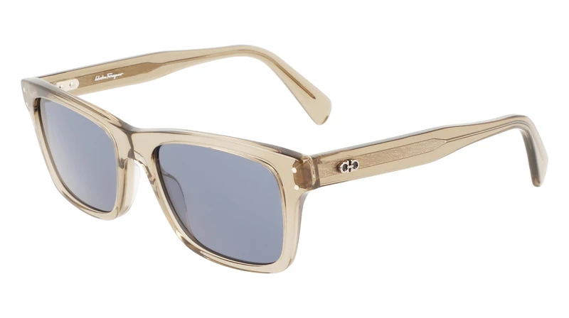 Salvatore Ferragamo SF1039S SF1039S 278 transparent sand sole Women's Acetate, Standard, 54 - Image 1
