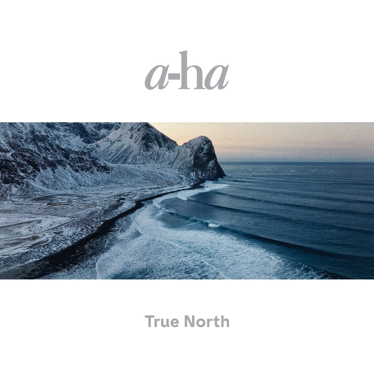 True North [VINYL]