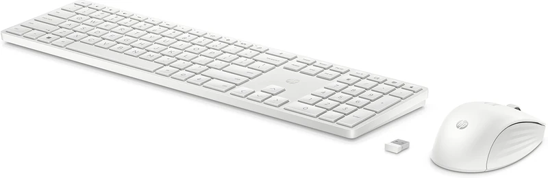 HP Ensemble clavier et souris sans fil 650