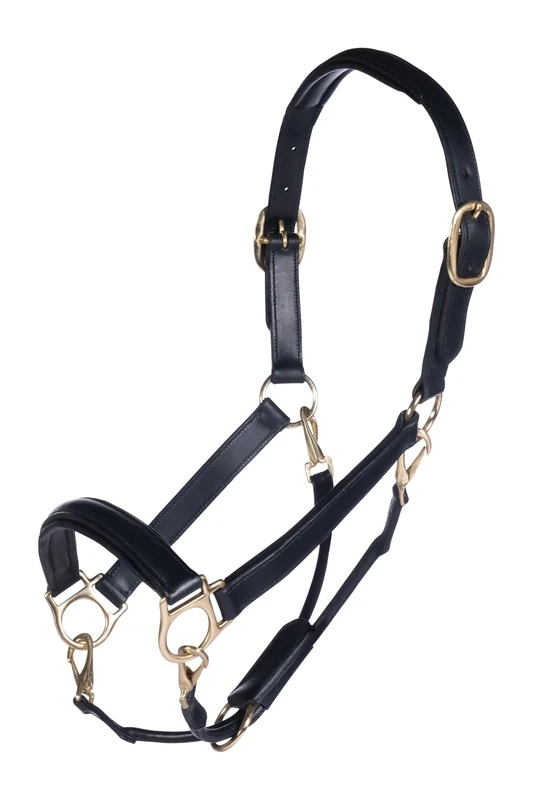HKM Gold Leather head collar Black Pony