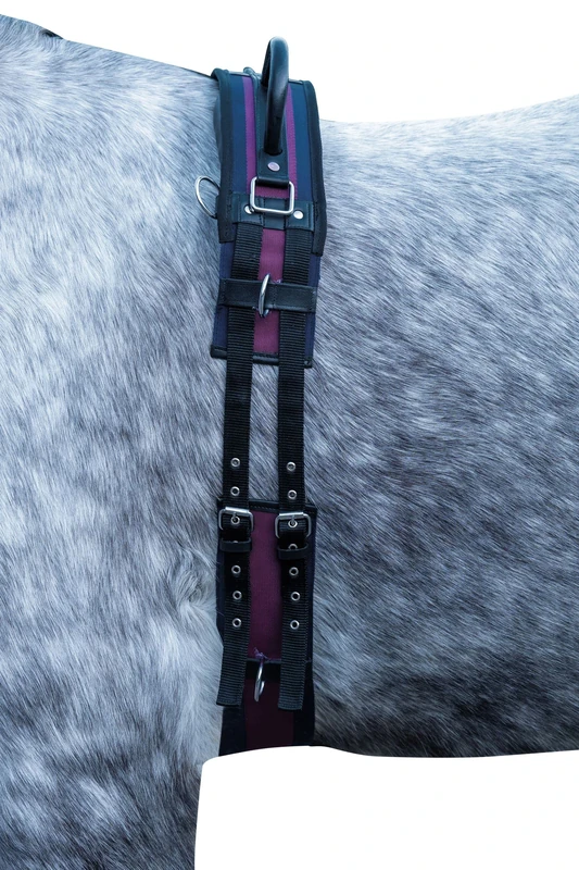 HKM Exclusive lunging belt navy/wine red striped thoroughbred/warmblood