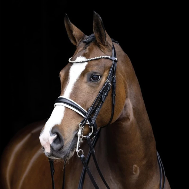 HKM Dina Tack Halters Black Vollblut