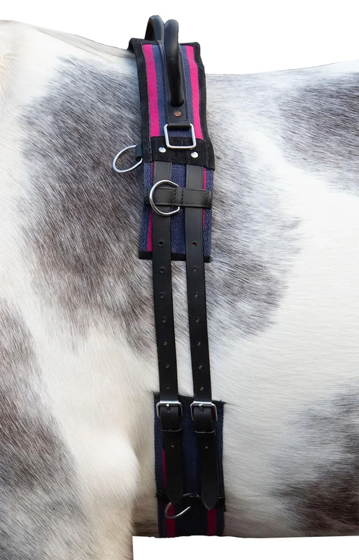 HKM Canvas Lunge Roller With Handle Navy/Passion Pink Cob