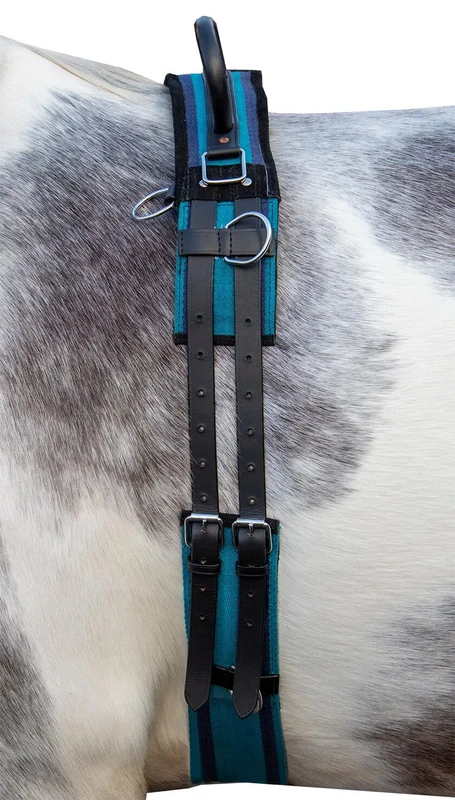 HKM Canvas Lunge Roller With Handle Navy/Sky Blue Cob
