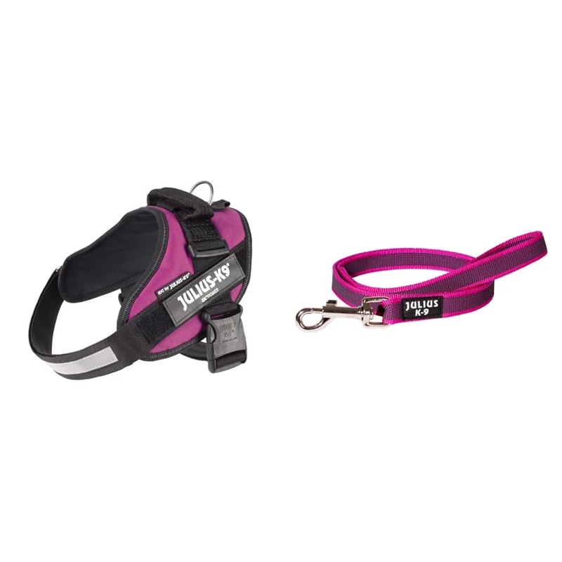Julius-K9, 16IDC-DPN-0, IDC Powerharness, dog harness, Size: 0, Dark Pink & 216GM-PN-S1 Color and Gray Super-Grip Leash with Handle, 20 mm x 1 m, Pink-Gray