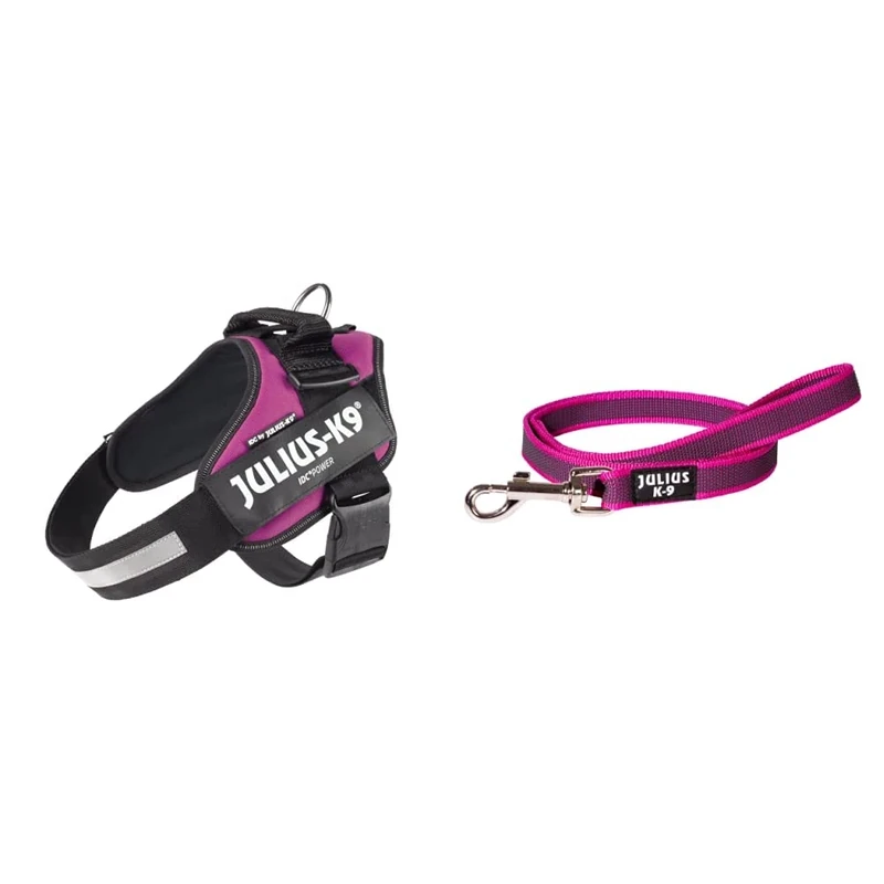 Julius-K9, 16IDC-DPN-1, IDC Powerharness, dog harness, Size: L/1, Dark Pink & 216GM-PN-S1 Color and Gray Super-Grip Leash with Handle, 20 mm x 1 m, Pink-Gray