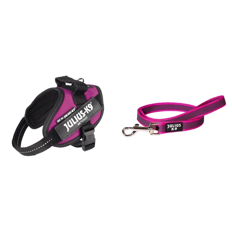 Julius-K9, 16IDC-DPN-MM, IDC Powerharness, dog harness, Size: XS/Mini-Mini, Dark Pink & 216GM-PN-S1 Color and Gray Super-Grip Leash with Handle, 20 mm x 1 m, Pink-Gray