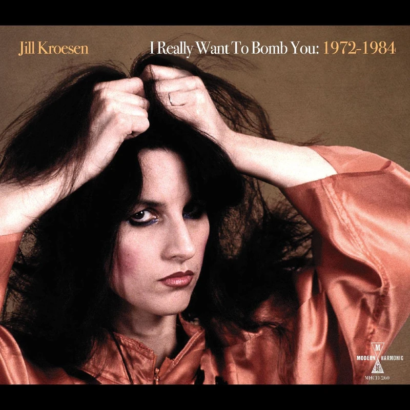 I Really Want To Bomb You: 1972 - 1984 [VINYL]