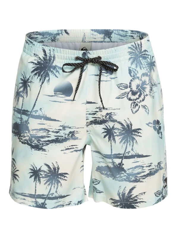 Quiksilver Everyday Mix 17" - Swim Shorts for Men