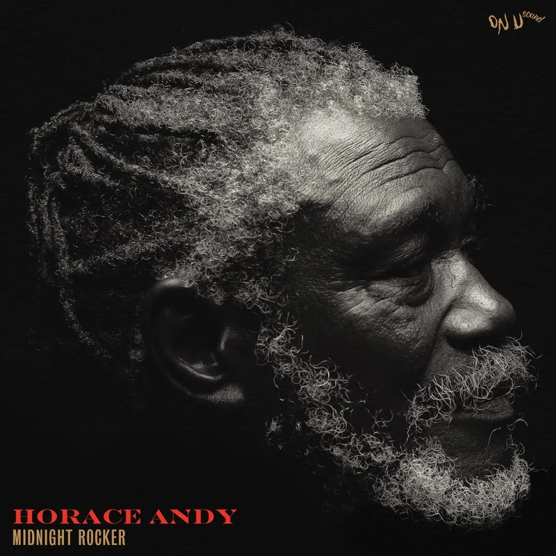 Midnight Rocker [VINYL] - Image 1