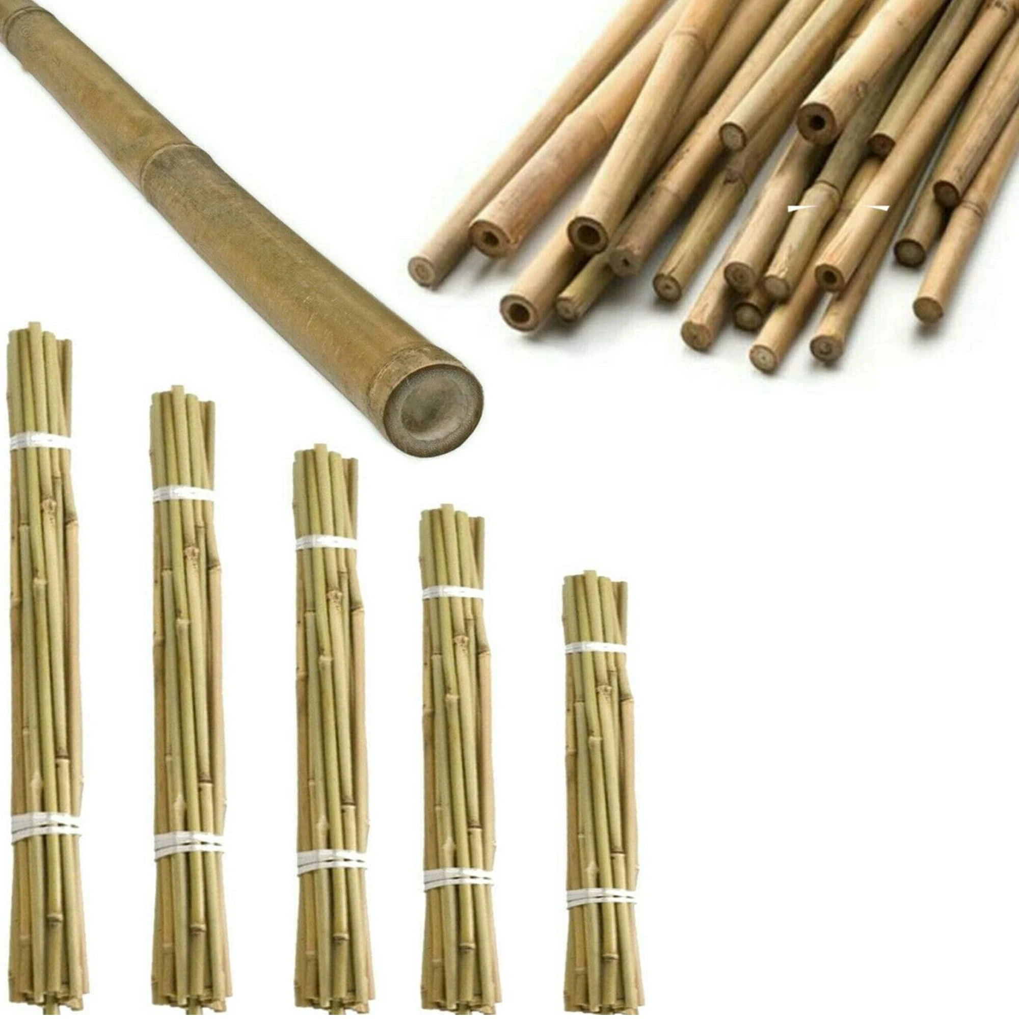 Q&H Strong Heavy Duty Professional Bamboo Canes 2ft, 3ft, 4ft, 5ft, 6ft - Outdoor Plant Support Garden Canes - Sturdy & Natural Bamboo Sticks for Plants Size - Natural Stake Pole Can (10, 2ft (60cm))
