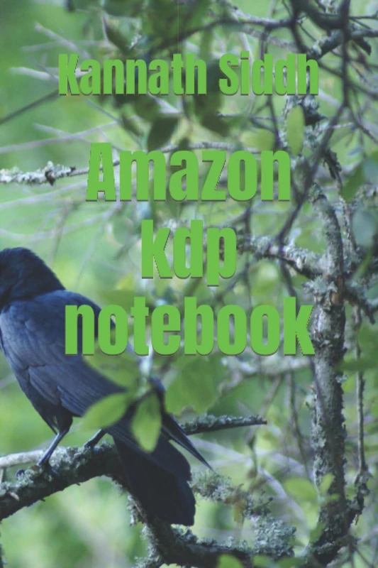 Amazon KDP Notebook - Architecture Childrens Book