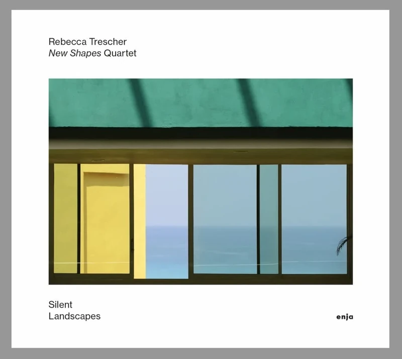 Silent Landscapes (Feat. New Shapes Quartet)