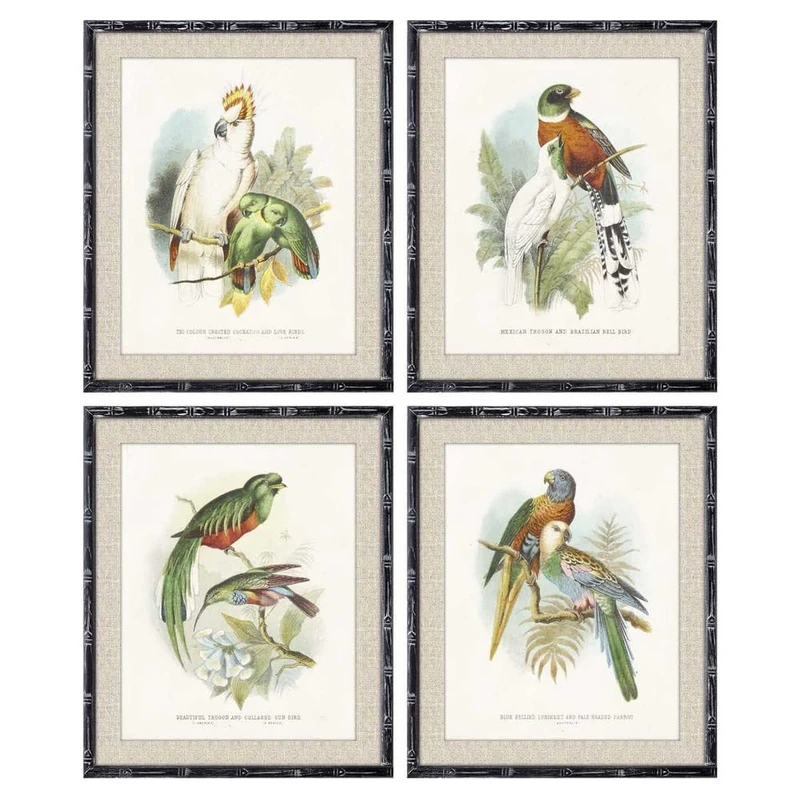 DKD Home Decor Birds Picture (50 x 2 x 60 cm) (4 Pieces) (Reference: S3018219)