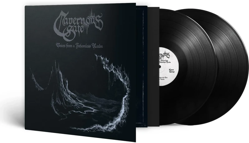 Voices From A Fathomless Realm [VINYL]