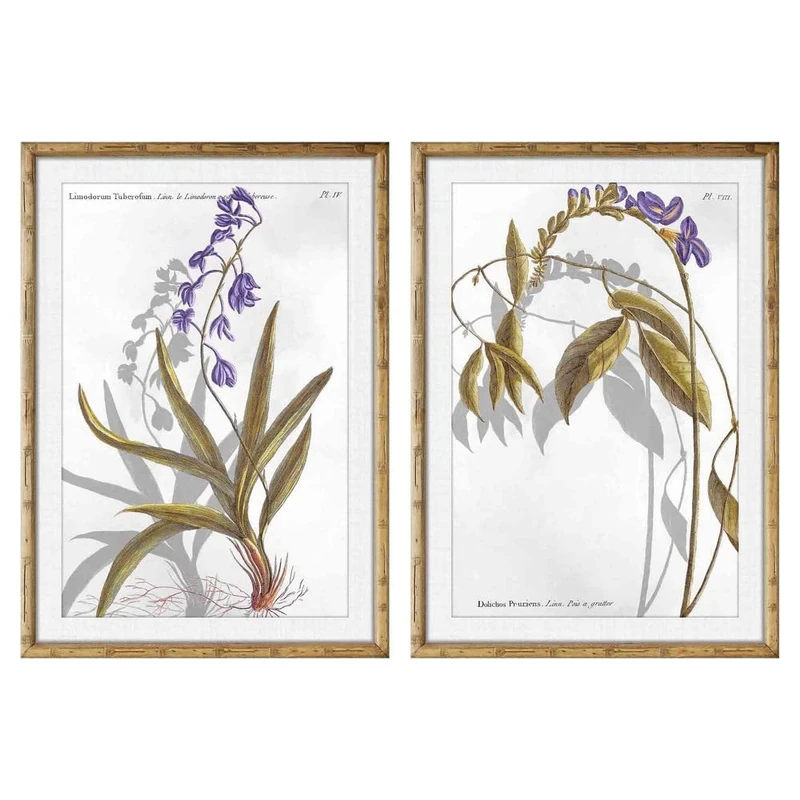 DKD Home Decor Picture 50 x 2 x 70 cm Modern Botanical Plants (2 Units) - Image 1