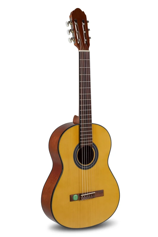Classical Guitar Student Solid Top