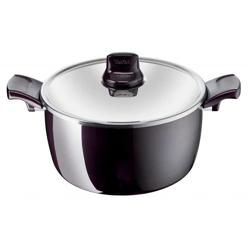 Tefal Resist Intense Stewpot, 26 Cm