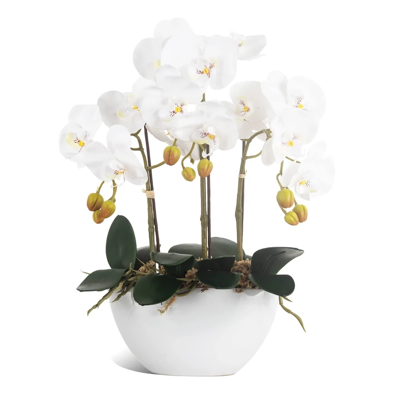 Ziwon Artificial Orchid Flowers Potted in Ceramic Pot, White Faux Phalaenopsis Orchids for Table Centerpiece, Realistic Fake Flower in vase for Home Office Decor Indoor