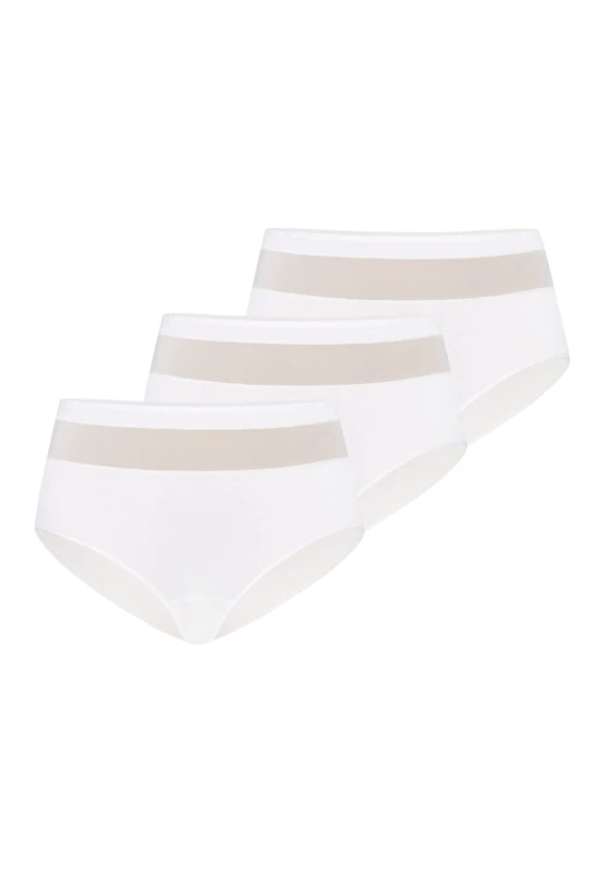 Teyli Women's Transparent Mesh Bikinis & Waist Briefs with Cotton Lining Pack of 3, White, XS Petite