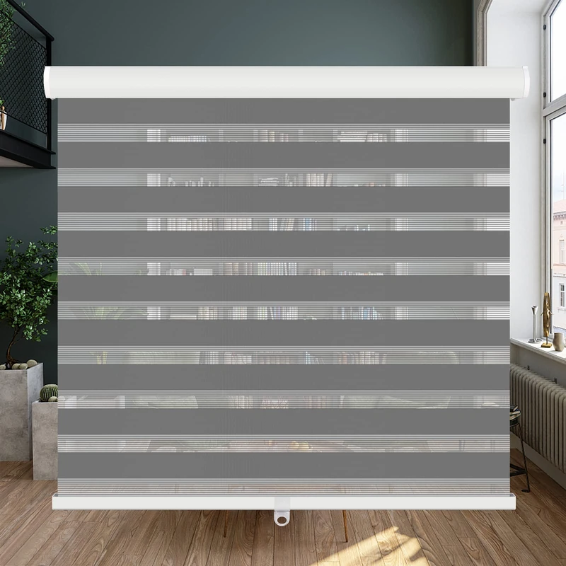 LUCKUP Cordless Zebra Blinds for Windows Dual Layer Day Night Roller Shades Light Filtering Shade Light Control Room Darkening Horizontal Window Treatment, 36" W x 72" H, Grey