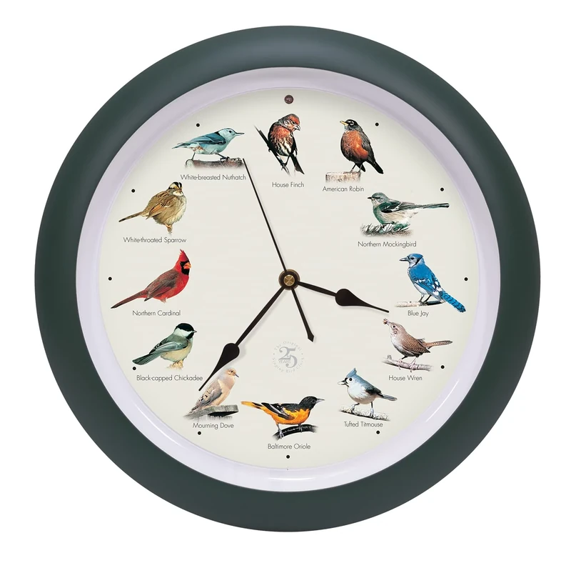 Mark Feldstein & Associates The Original Singing Bird Clock 25th Anniversary Edition, As Seen On TV (13 Inch, Matte Green)