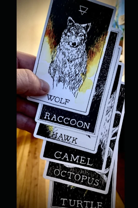 Security or Peace? Pick One.